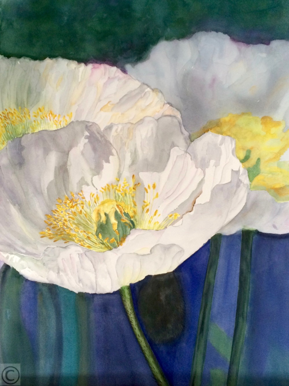 White Poppies 